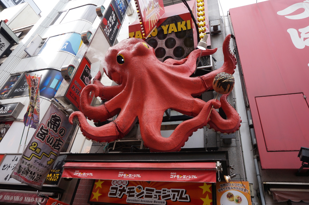 großer Oktopus, hat sich nicht bewegt