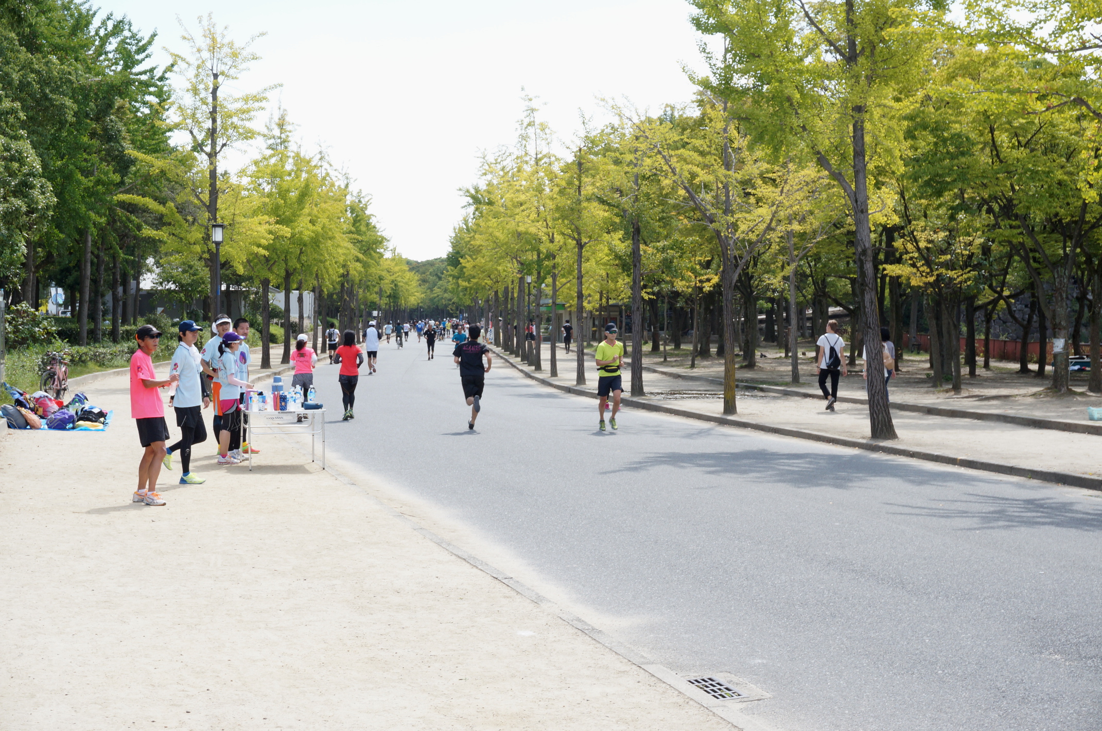 Es schien irgendeinen Lauf durch den Park zu geben.
