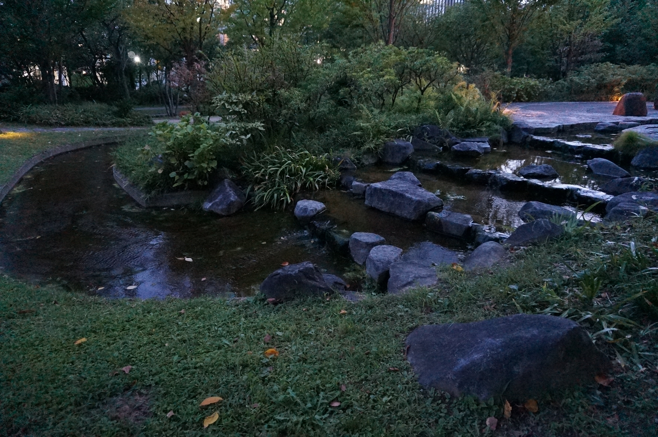 DSC00862
