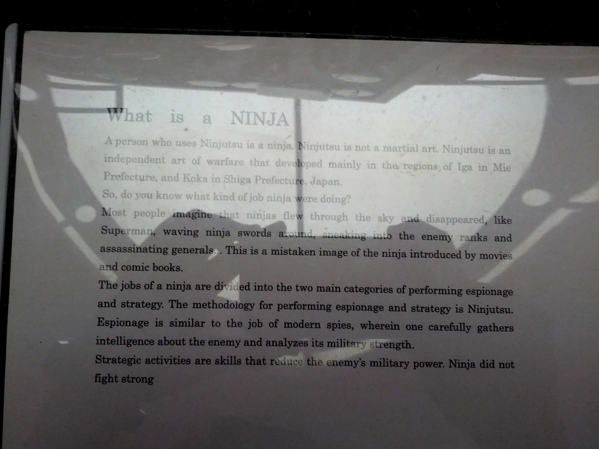 What is a ninja?