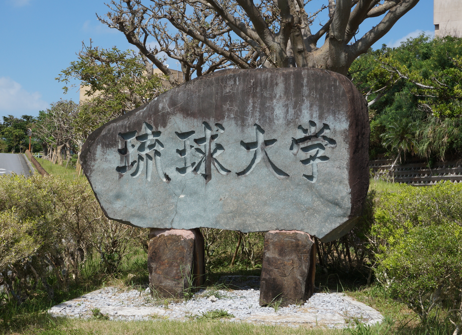 Ryûkyû-Daigaku!