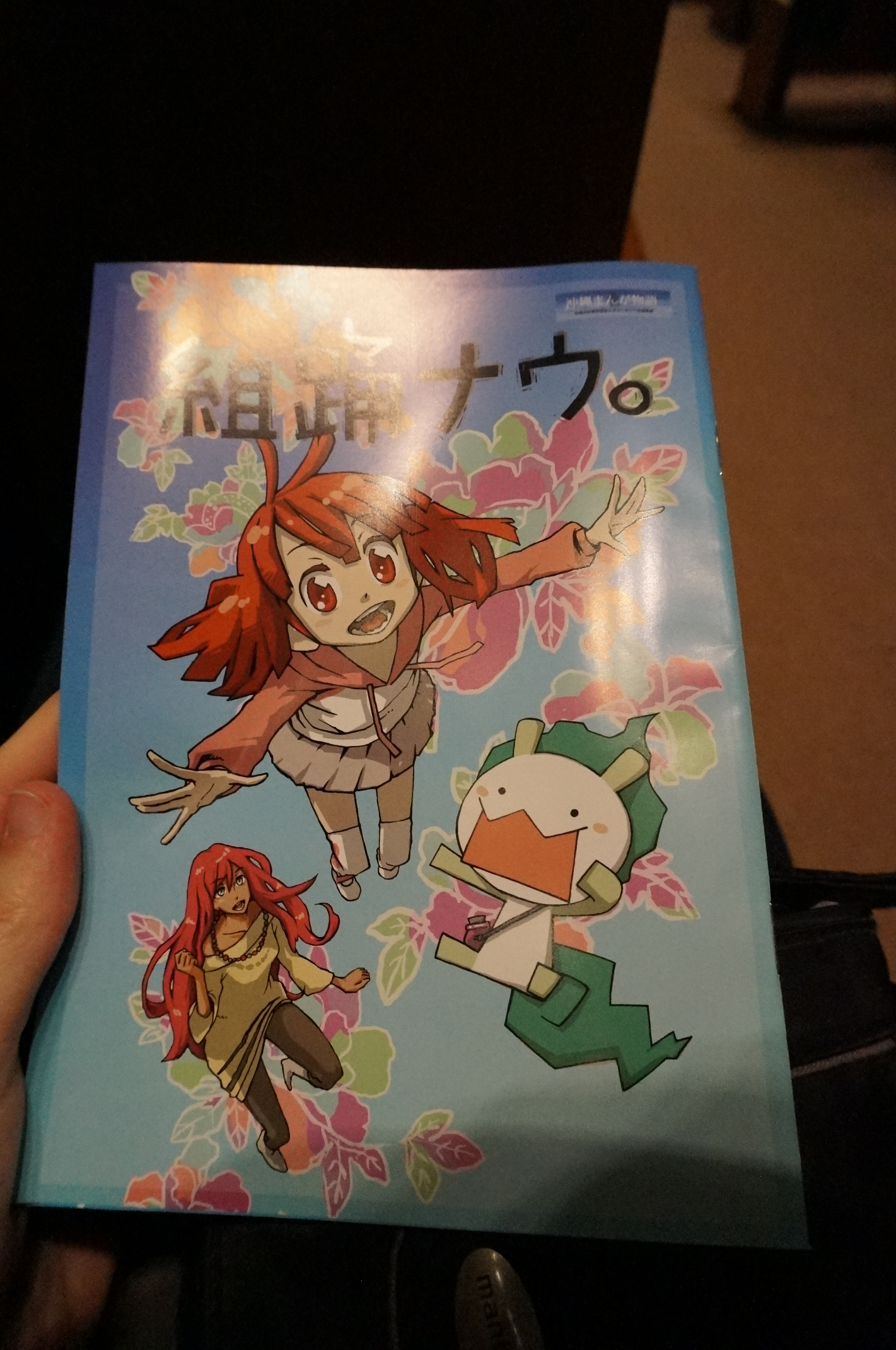 Dieses Heftchen haben wir beim Theater bekommen. Darin wird beschrieben, was kumi odori eigentlich ist.