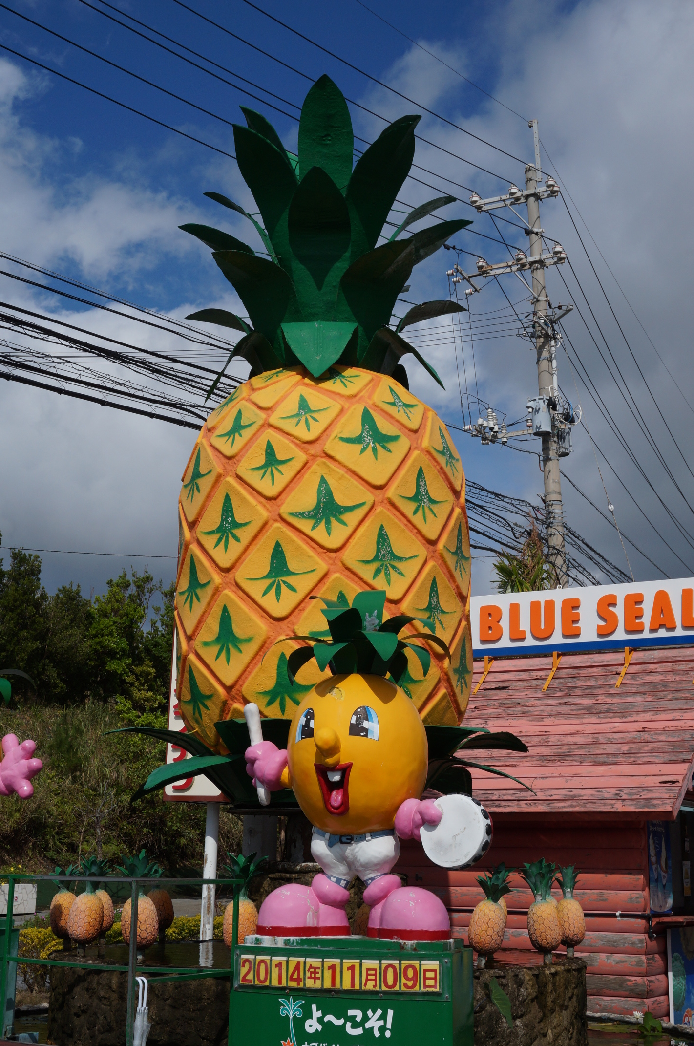Und ganz große Ananas!