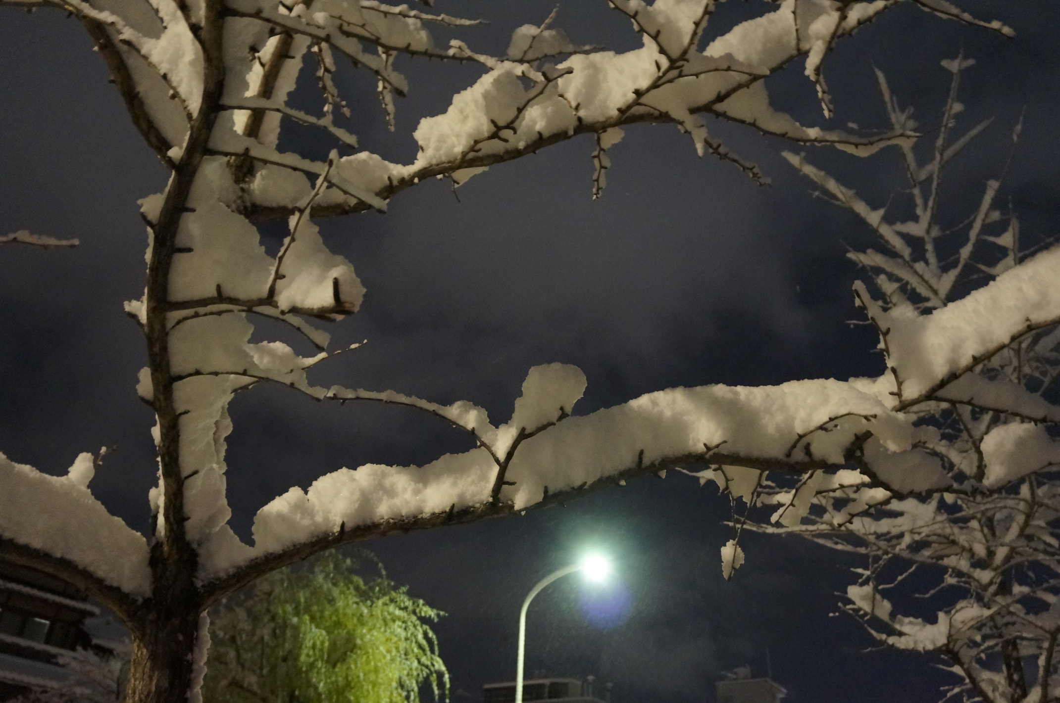 So hoch lag der Schnee dann am Abend, als es wieder wenig schneite!