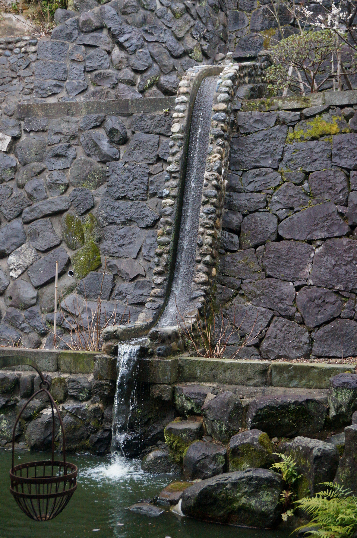 DSC03771