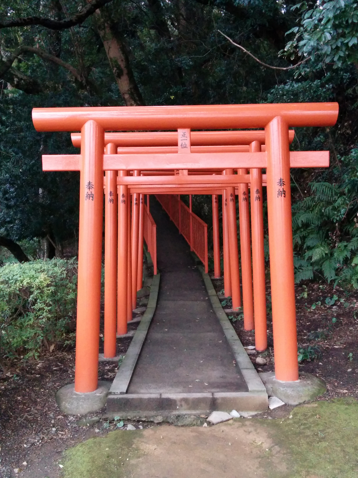 Ein paar Torii, aber nichts im Vergleich zum Fushimi Inari in Kyôto^^