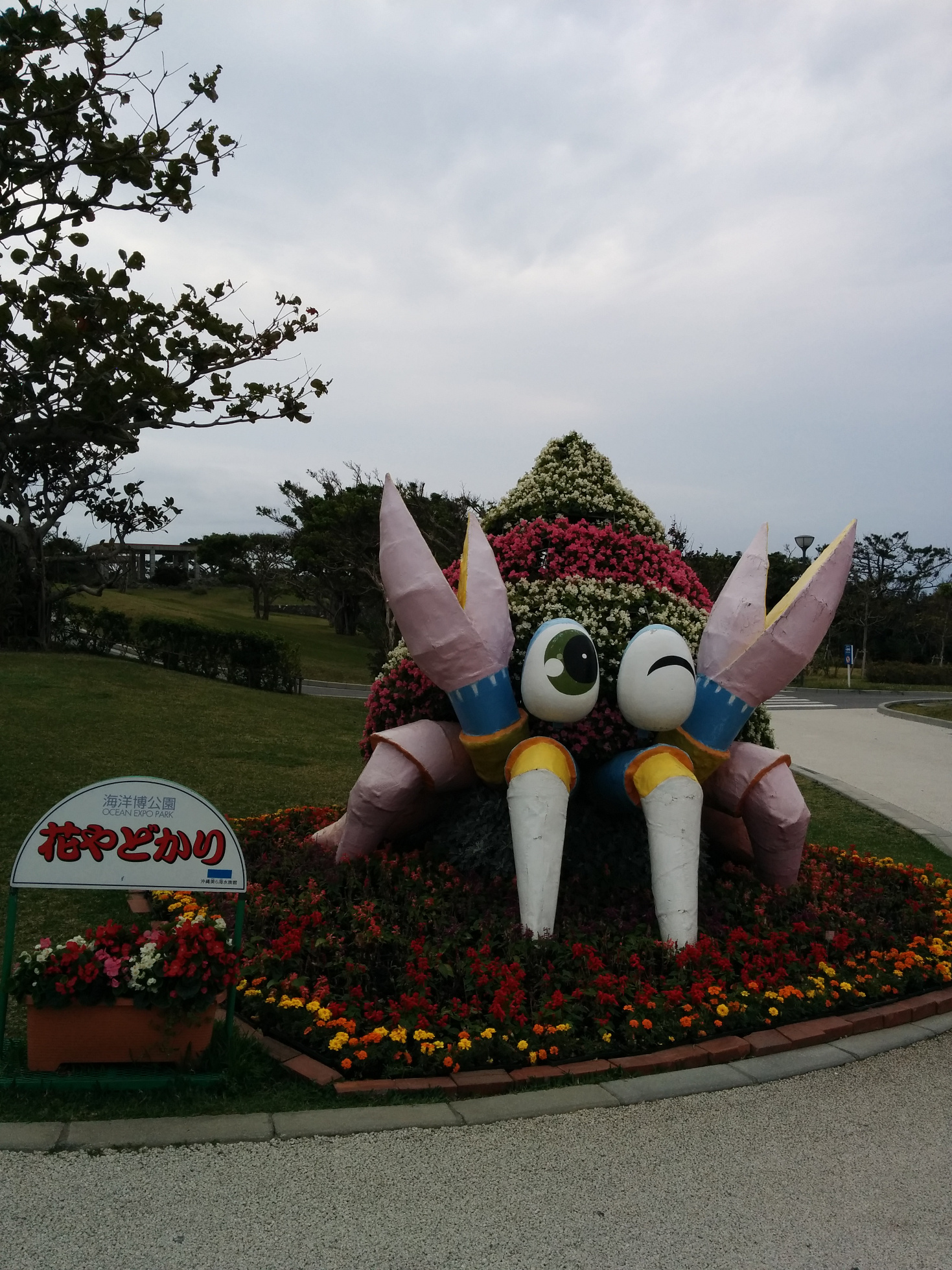 Niedliche Krabbe vorm Aquarium.