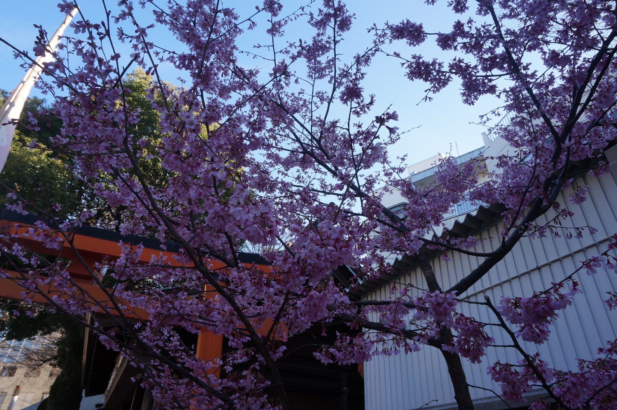 DSC04011