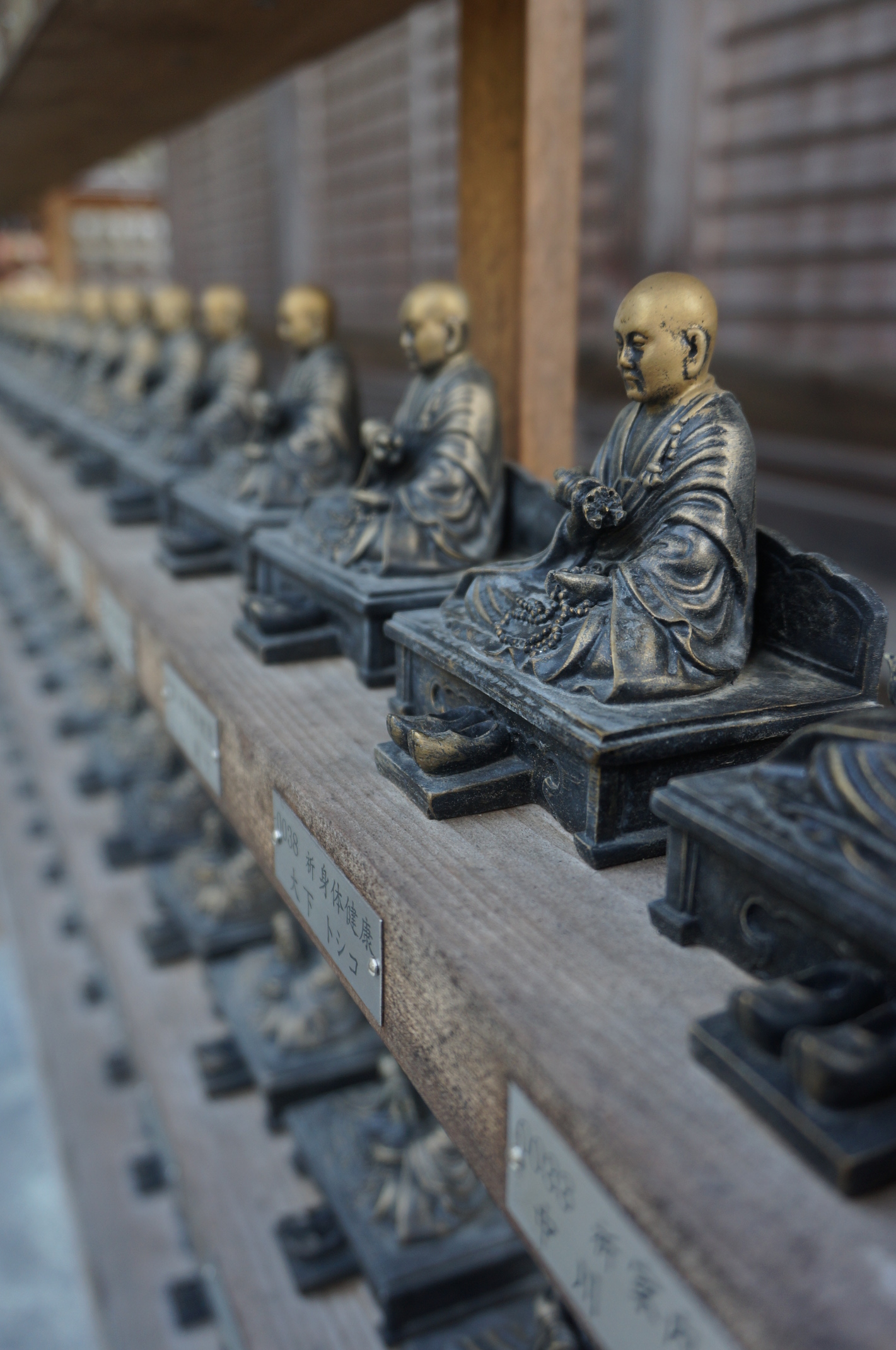 Ich kenne mich mit den verschiedenen buddhistischen Zweigen nicht besonders aus, daher weiß ich nicht genau, wofür sie stehen.
