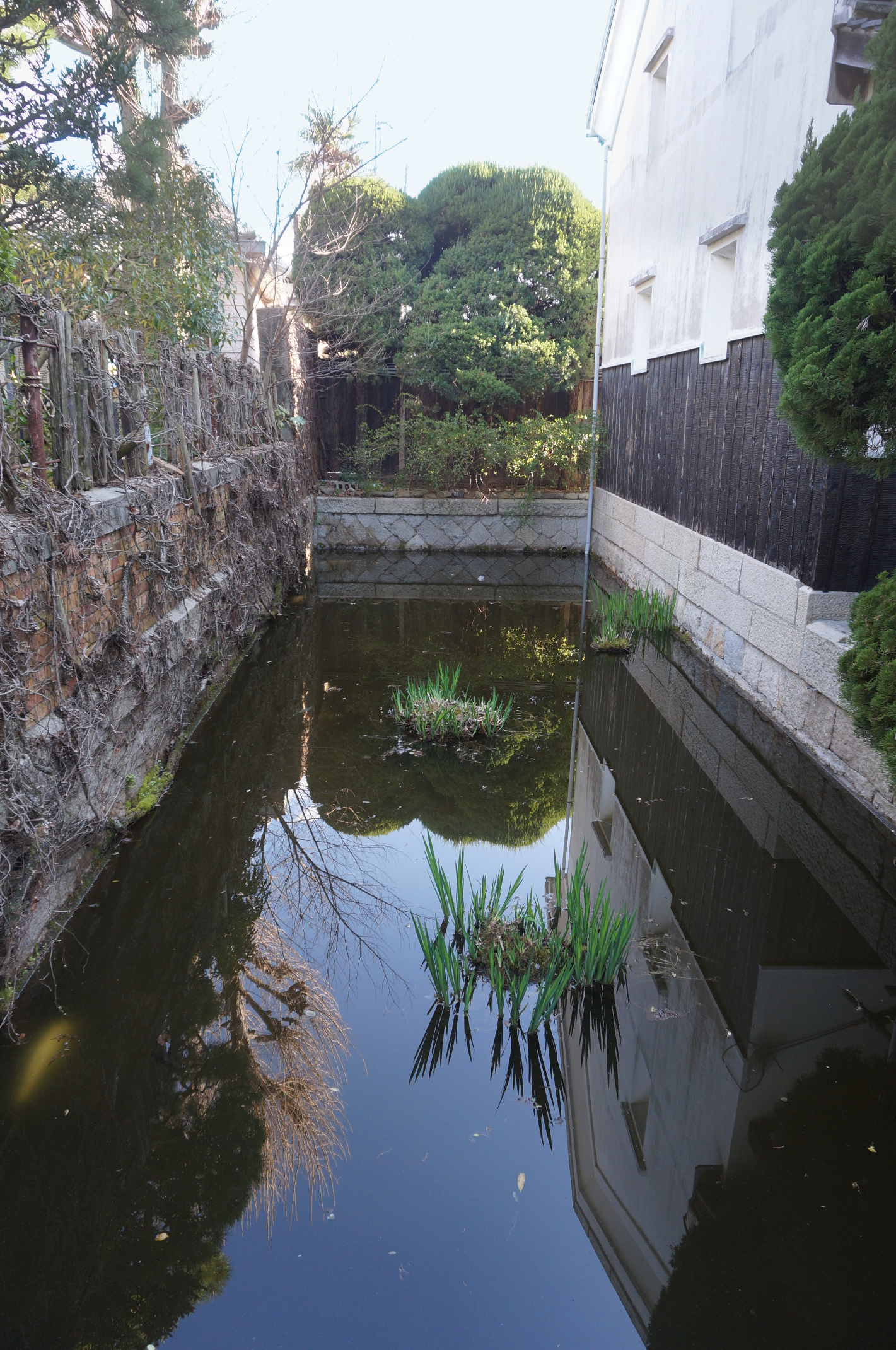 DSC04928
