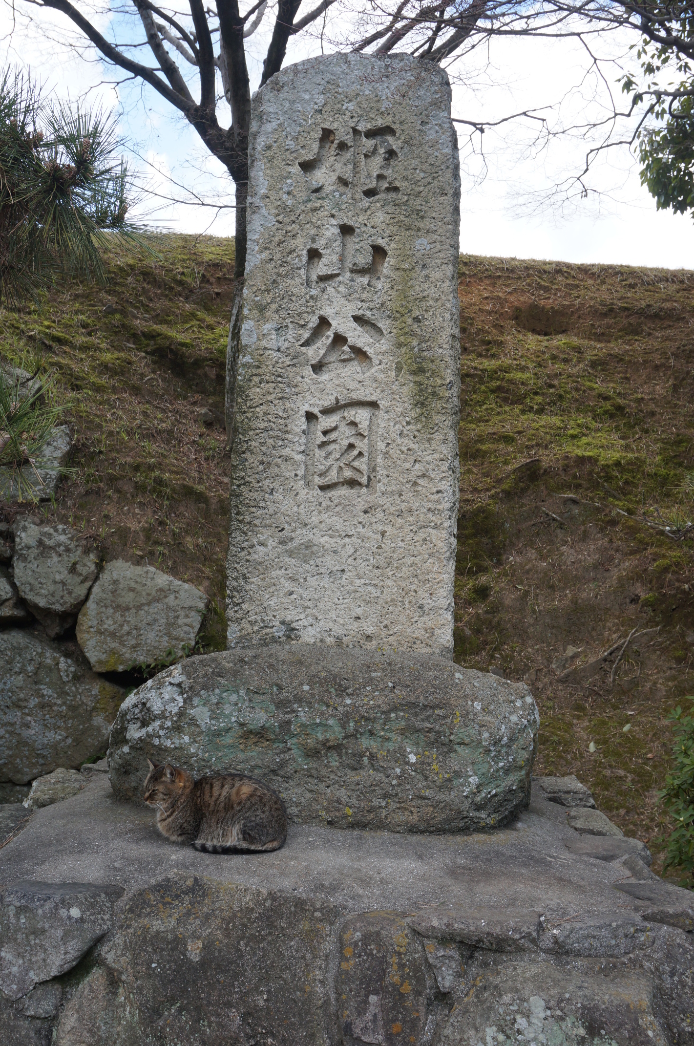 Auch hier eine Katze.