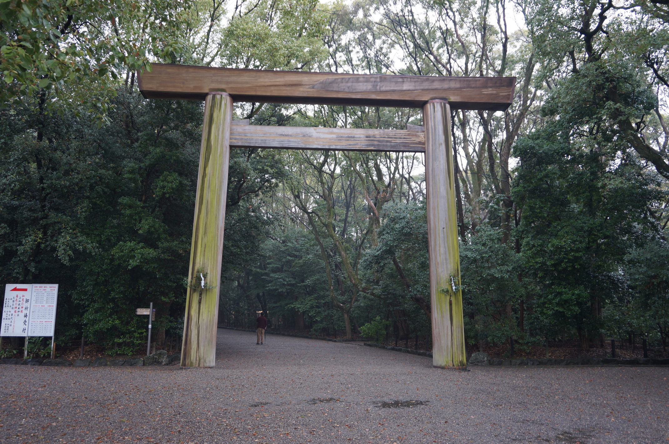Großes Holz-torii am Eingang zum Schreinsgelände.