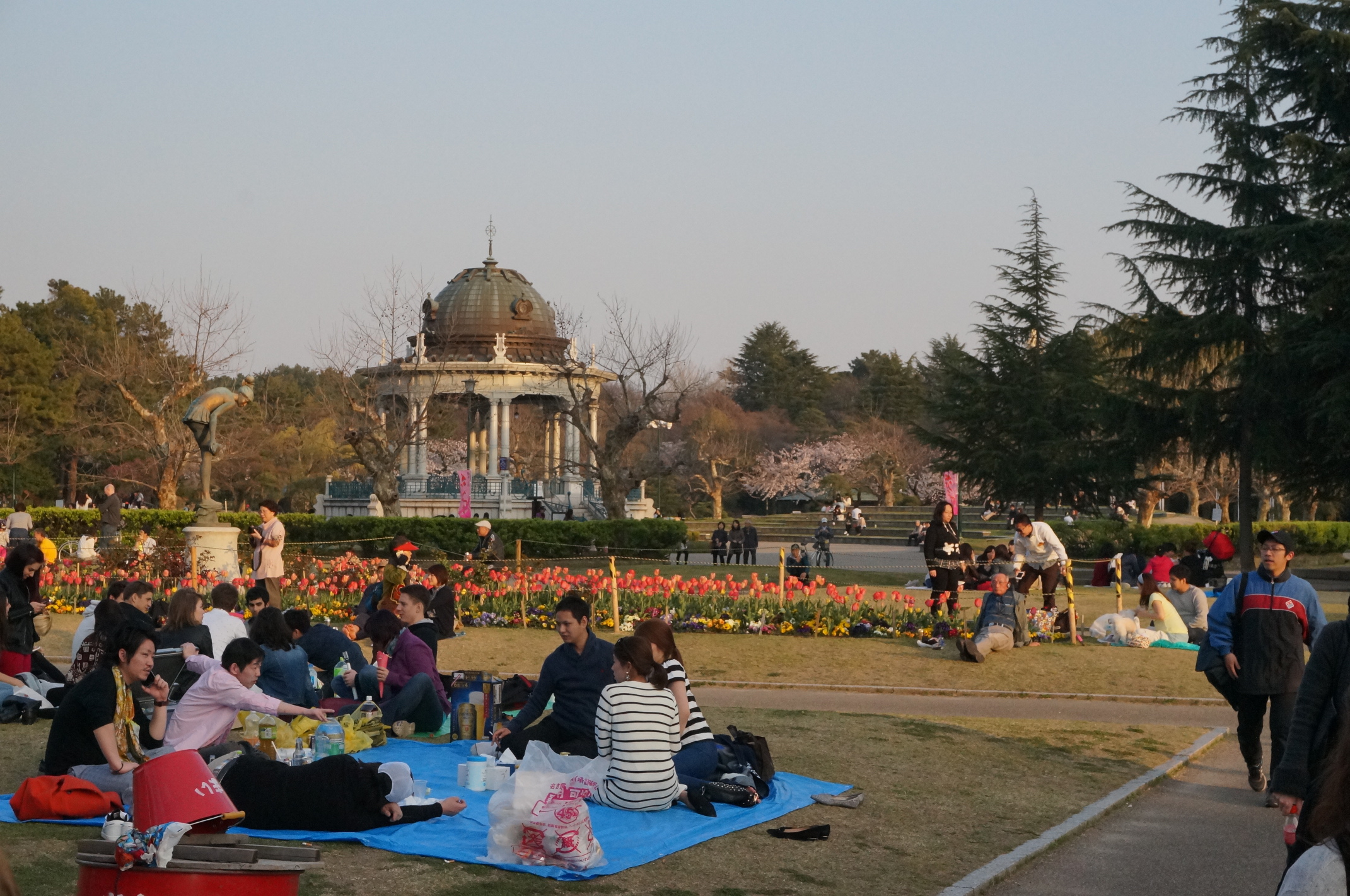 Auch am Tag: Japaner beim Kirschblüten-Schauen.