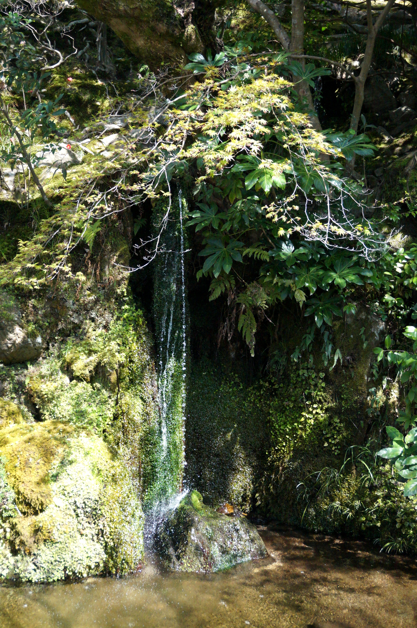 DSC05398