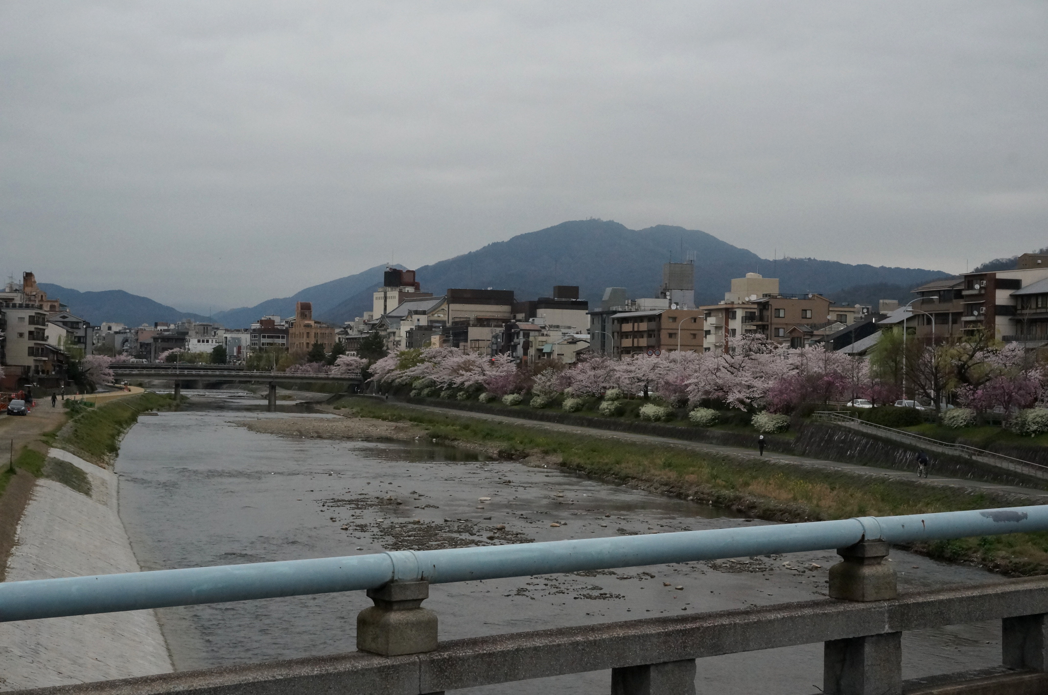 DSC05435