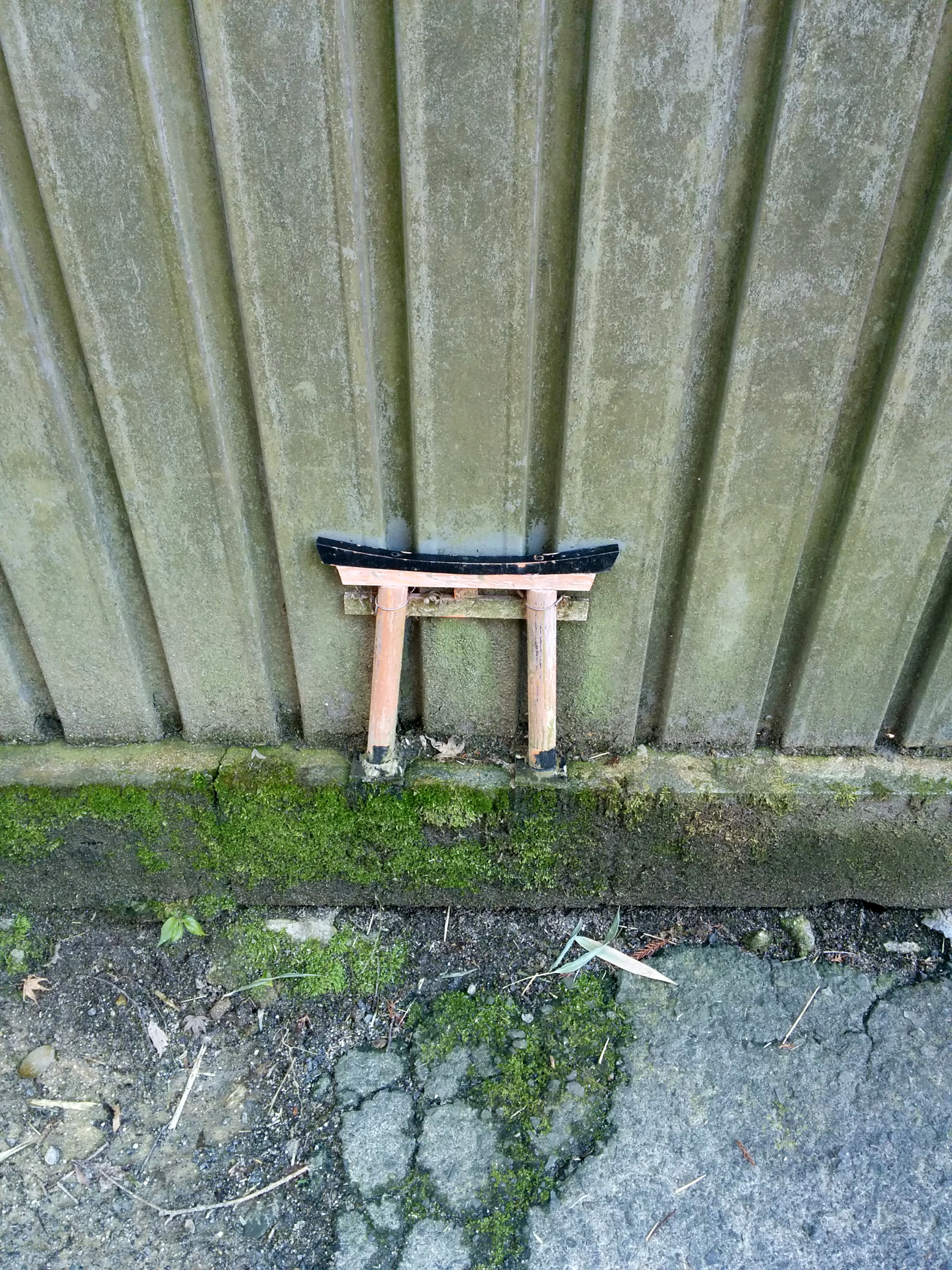 Mini-torii!