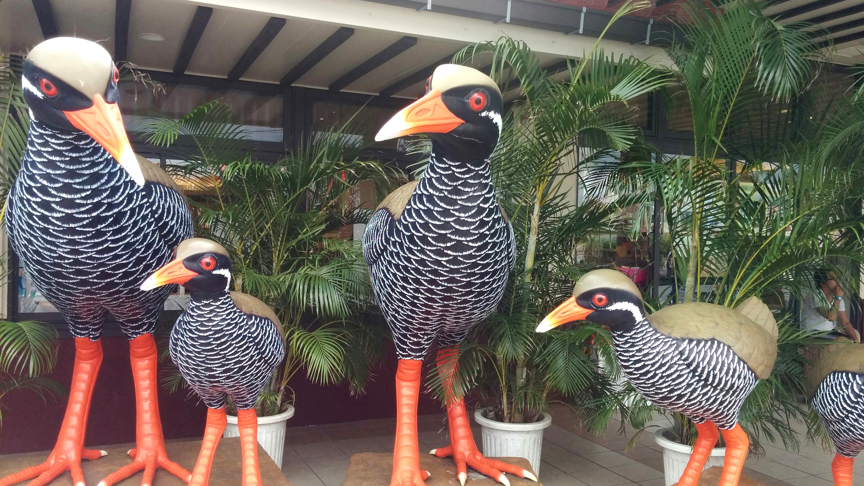 Yanbaru kuina, ein Vogel, der auf Okinawa heimisch ist. In Echt aber um Einiges kleiner.