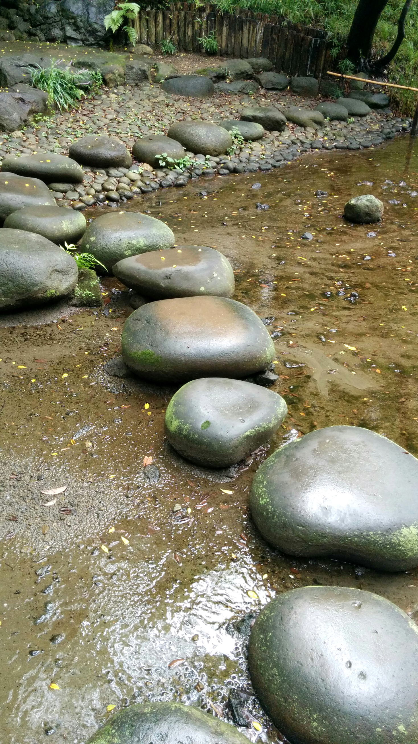 Steine im Wasser!