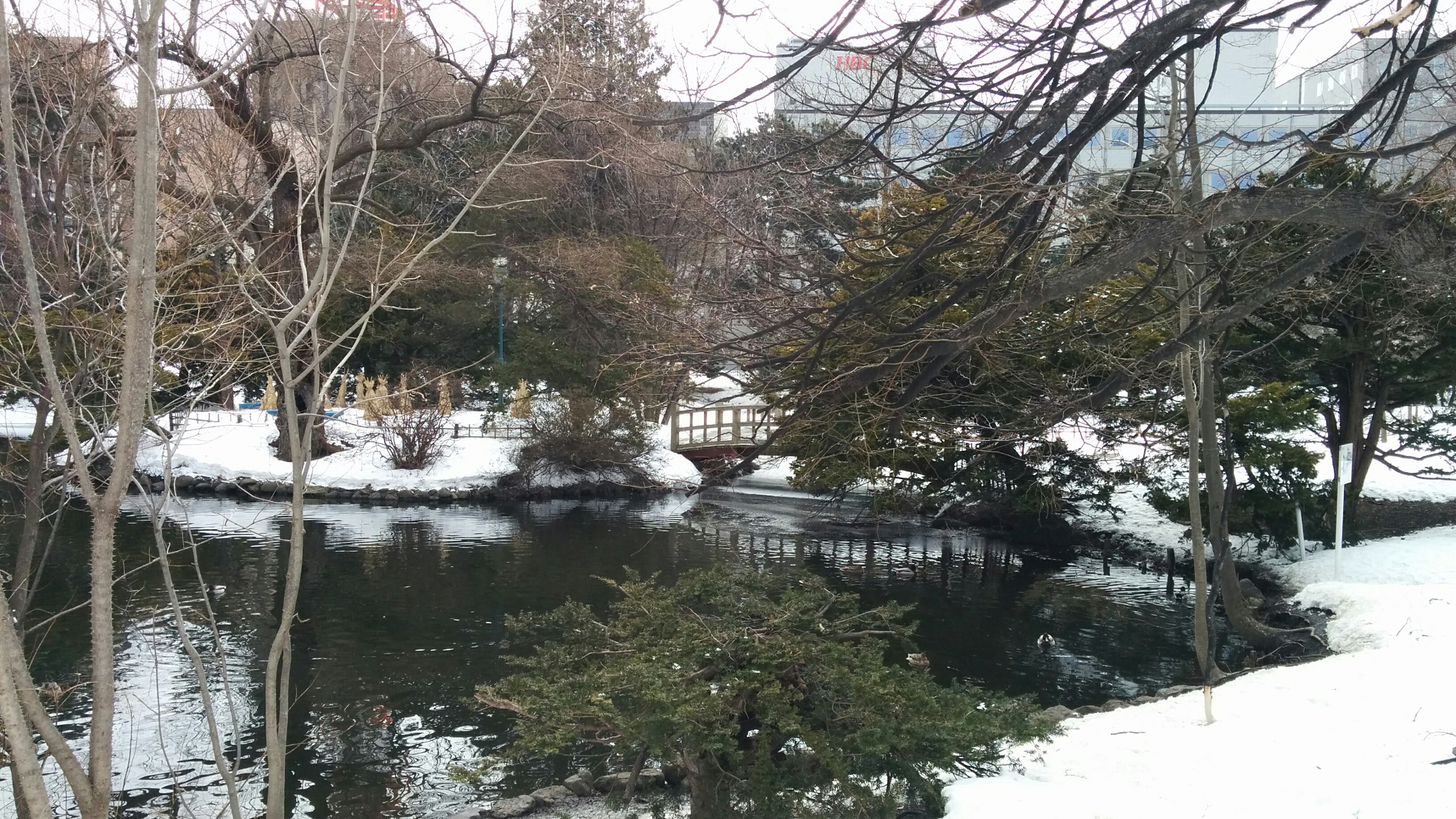 Gartenstück mit Schnee!