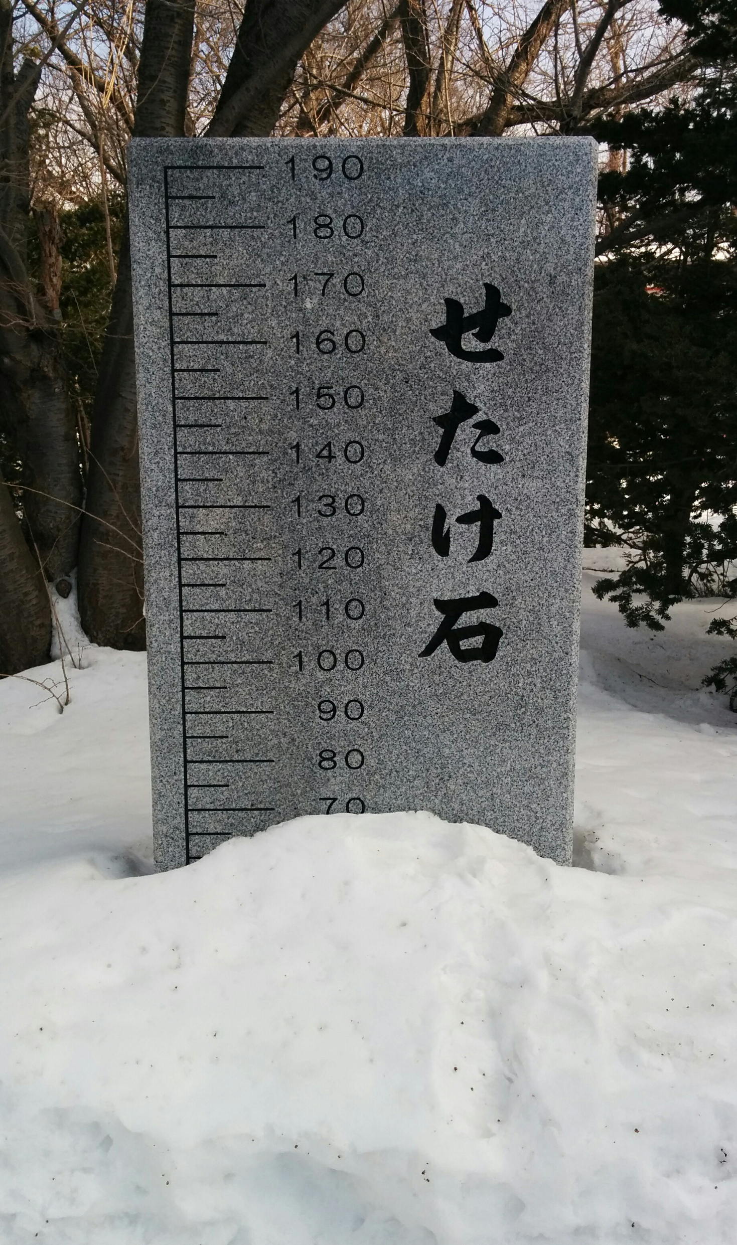 Damit man sich mal ein Bild davon machen kann, wie hoch der Schnee lag.