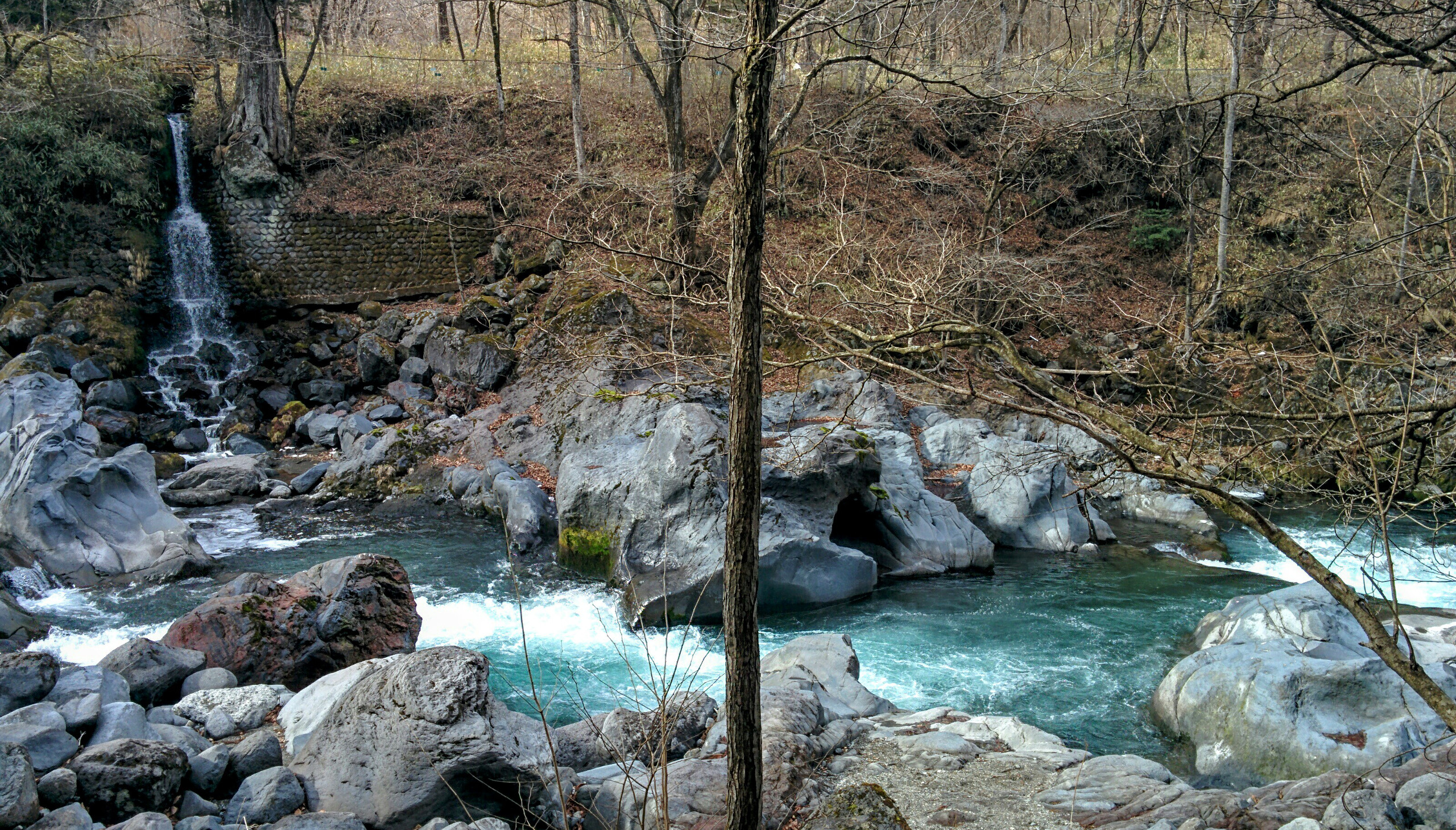 IMG_20160319_150122~2