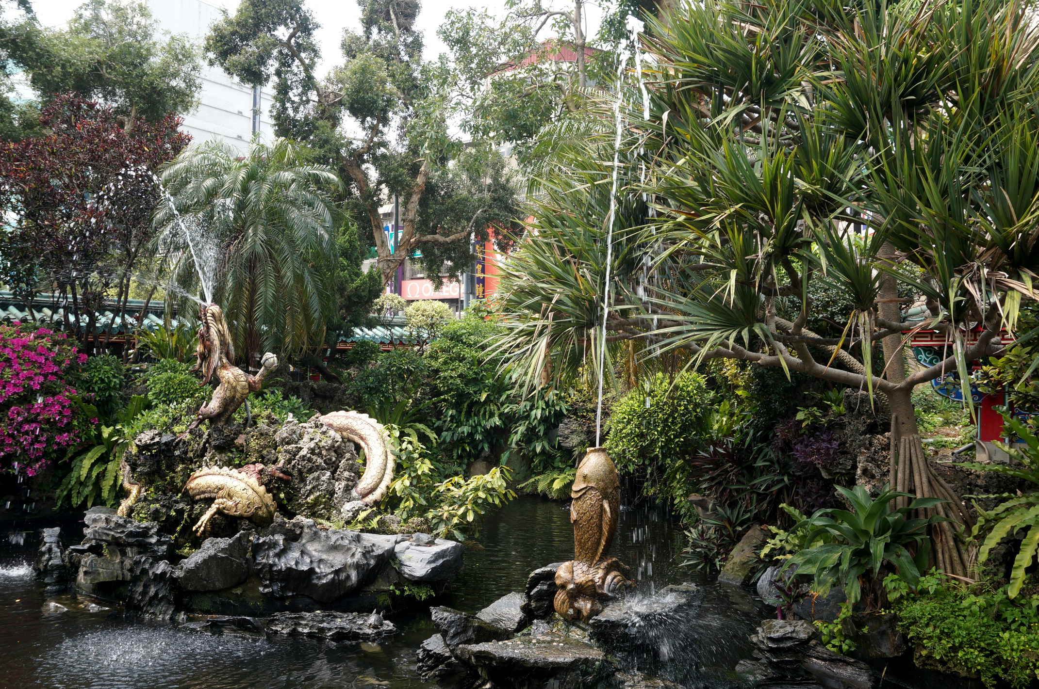 Im botanischen Garten.